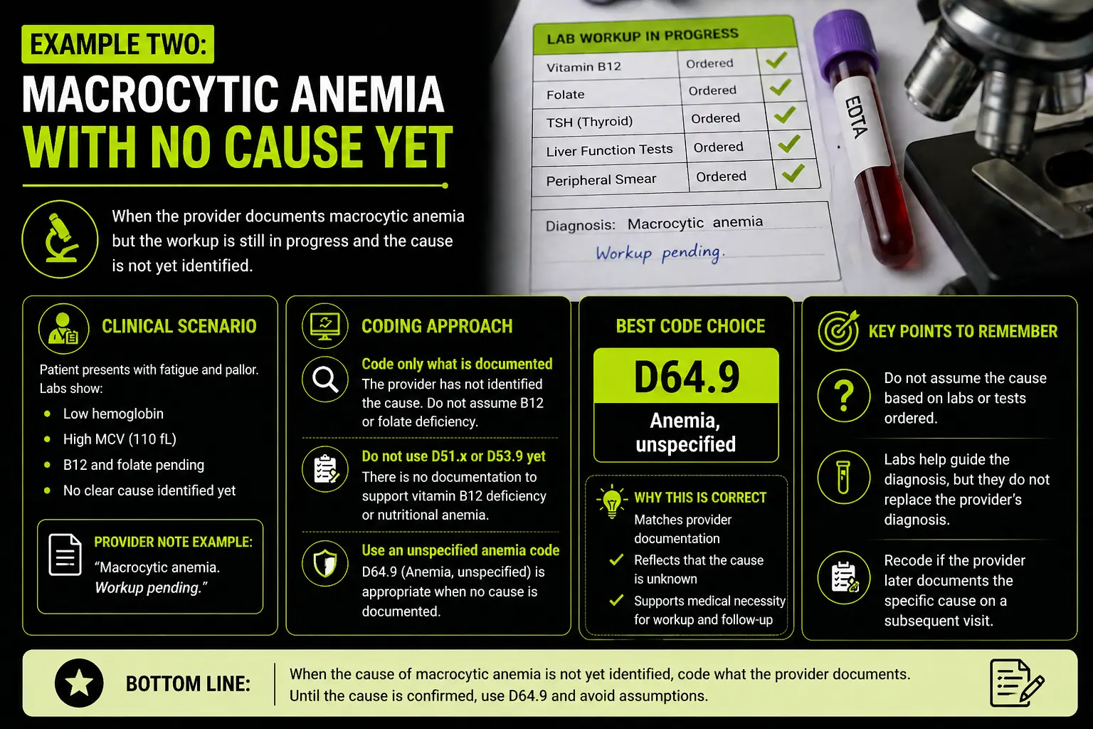 Example Two Macrocytic Anemia With No Cause Yet
